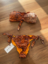 Bikini fascia maculata