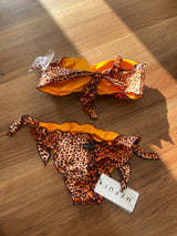 Bikini fascia maculata